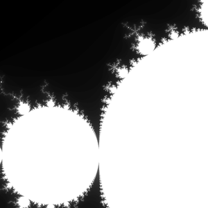 Bloom