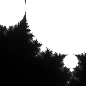 Echo